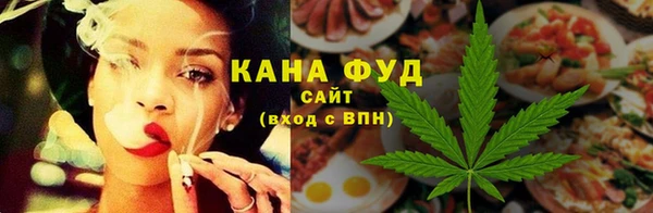 индика Михайловск