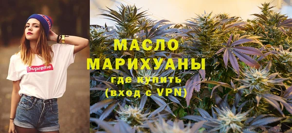 индика Михайловск