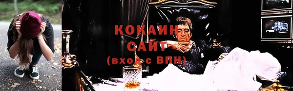 дживик Навашино