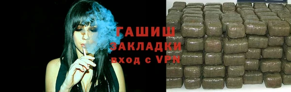 индика Михайловск