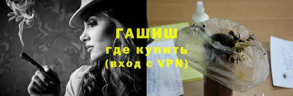 индика Нягань