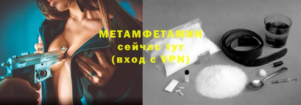 индика Михайловск