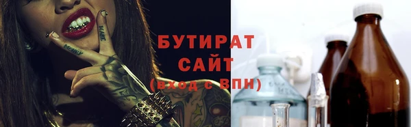 индика Михайловск