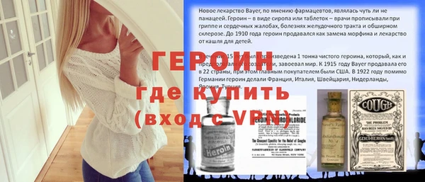 индика Михайловск