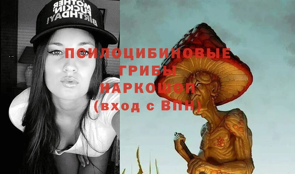 дживик Навашино