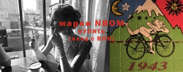 сатива Богородицк