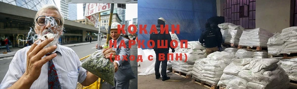 индика Михайловск