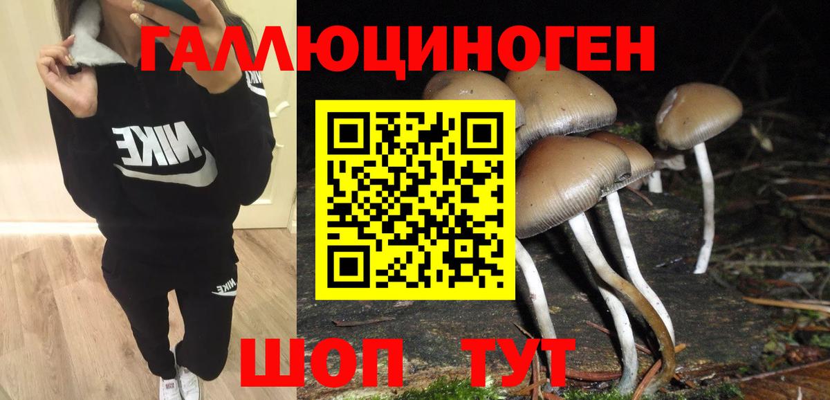 Псилоцибиновые грибы GOLDEN TEACHER Новоалтайск